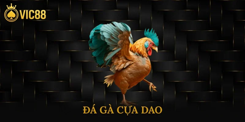 Đá Gà Cựa Dao
