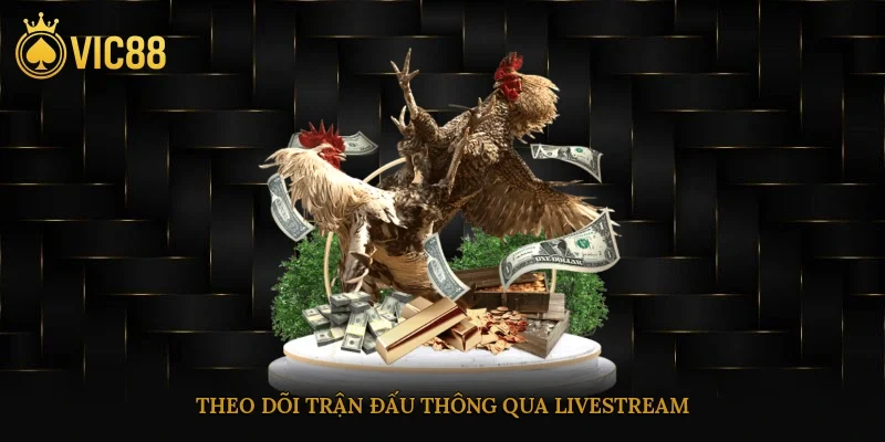 Đá Gà Vic88 – Cá Cược Trực Tuyến Sát Thực Như Trường Gà 3 Theo dõi trận đấu thông qua livestream với khung hình full HD
